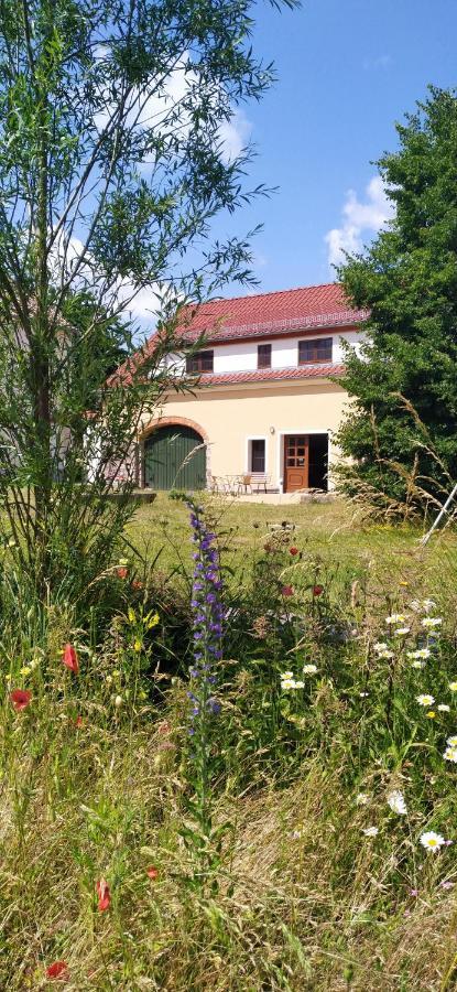 Ferienhof-Kühn Hochkirch Exterior foto