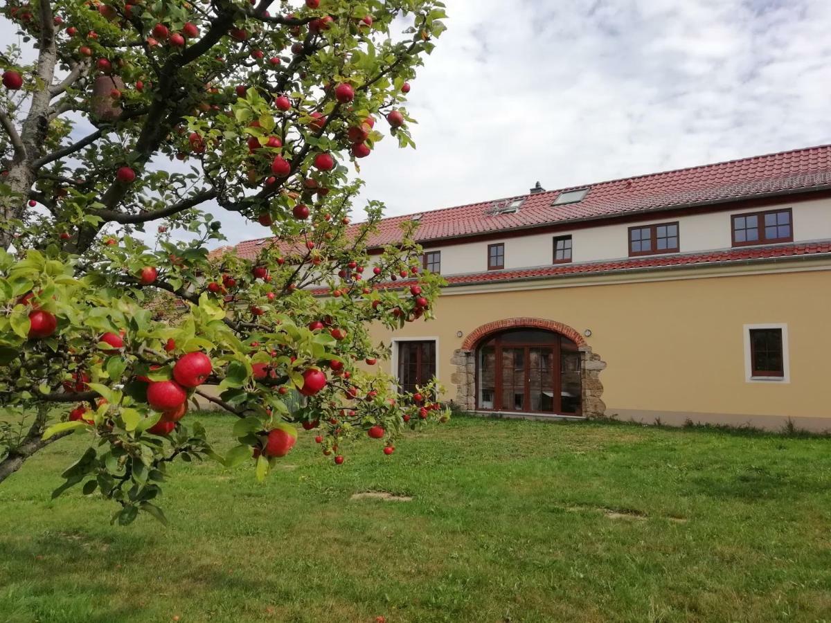 Ferienhof-Kühn Hochkirch Exterior foto
